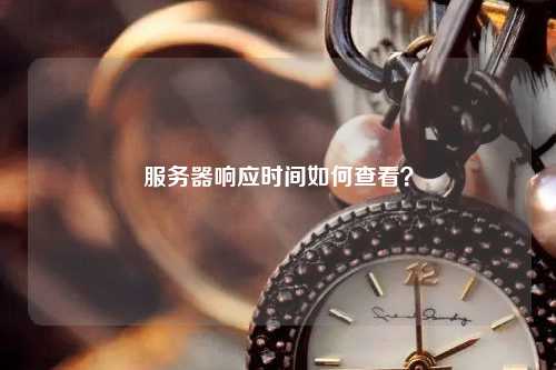 服务器响应时间如何查看？