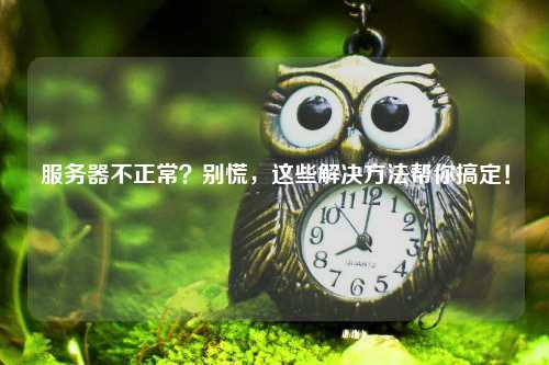 服务器不正常？别慌，这些解决方法帮你搞定！