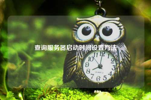 查询服务器启动时间设置方法
